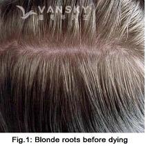 240723144052_Hair-Before Dying-s.jpg